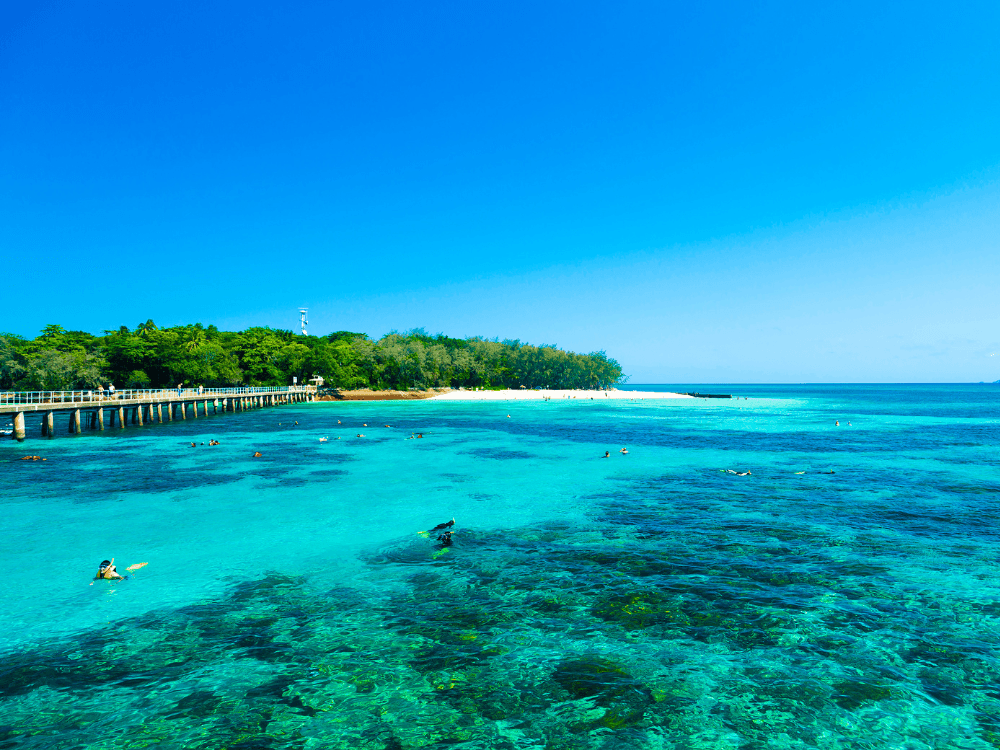 Operations management dashboard